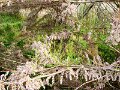 DSC04945
