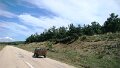 DSC05009