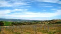 DSC05015