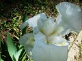 DSC05086