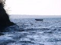 DSC05095