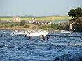 DSC05096