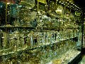 DSC05208
