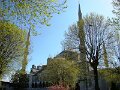 DSC05220