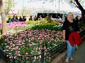 DSC05266