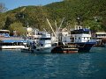 DSC05323