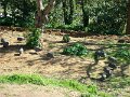 DSC05336