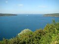 DSC05343
