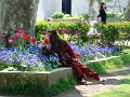 DSC05427