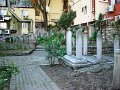 DSC05504