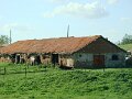 DSC05547