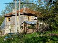 DSC05548