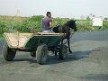DSC05631