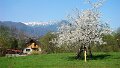 DSC05700
