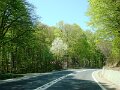 DSC05917