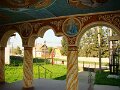 DSC06016