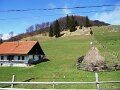 DSCN4052
