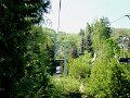 DSC06381