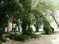 DSC06496