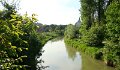DSC06969 - Copy