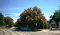DSC06815