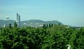 DSC06842