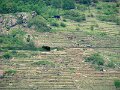 DSC07039
