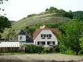 DSC07143