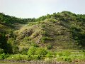DSC07152