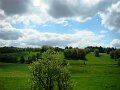 DSC07335