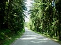 DSC07344