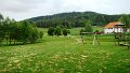 DSC07355