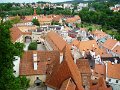 DSC07484