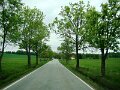 DSC07526