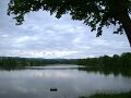 DSC07528