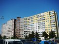 DSC07701