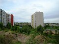 DSC08137