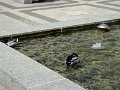 DSC07860