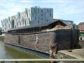 DSC08501