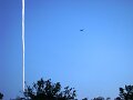 DSC08730