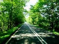DSC09135