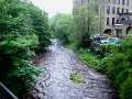 DSC09235