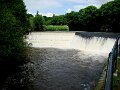 DSC09334