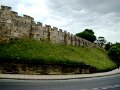 DSC09505