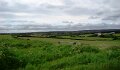 DSC09596