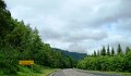 DSC00347