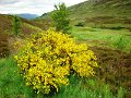 DSC00396