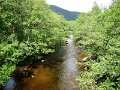 DSC00401