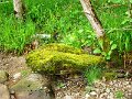 DSC00407