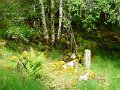 DSC00412